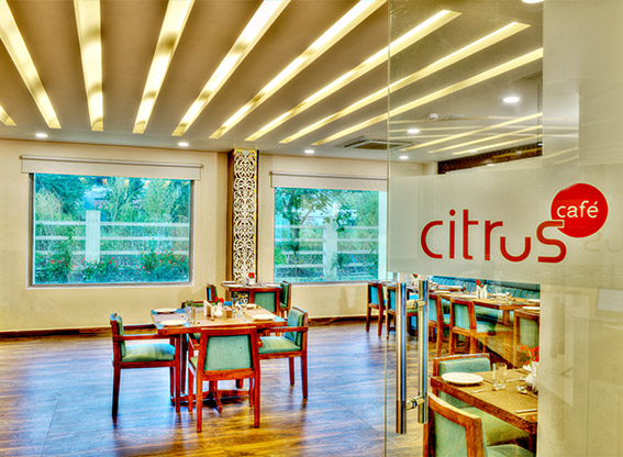 katra buffet restaurants 
